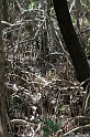 IMG_7993_LR