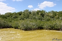 IMG_7995_LR