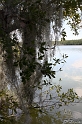 IMG_7997_LR