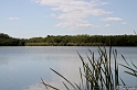 IMG_7999_LR