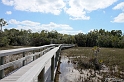 IMG_8002_LR