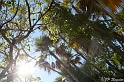 IMG_8006_LR