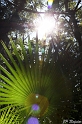 IMG_8009_LR