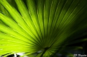 IMG_8010_LR