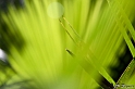 IMG_8012_LR