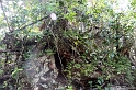 IMG_8015_LR
