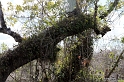 IMG_8016_LR