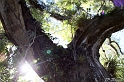 IMG_8022_LR
