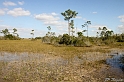 IMG_8026_LR