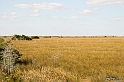 IMG_8033_LR