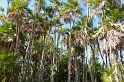 P1010513_LR