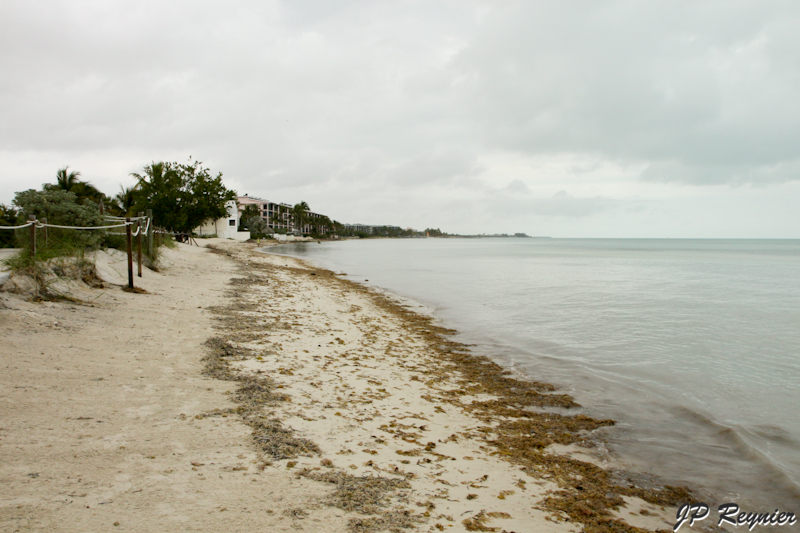 IMG_8193_LR.jpg