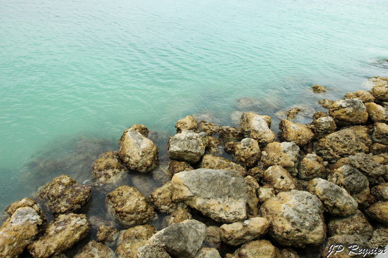 IMG_8210_LR.jpg