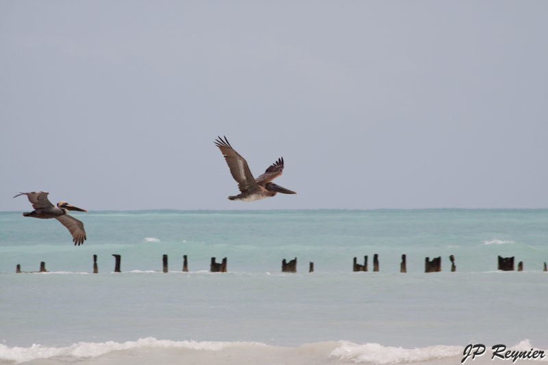 IMG_8317_LR.jpg