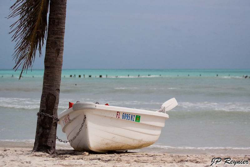 IMG_8320_LR.jpg