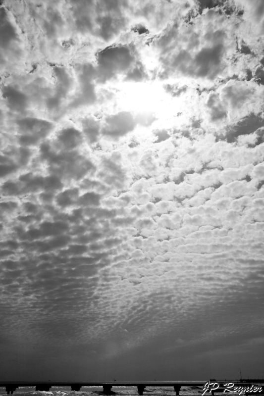 IMG_8334_LR.jpg