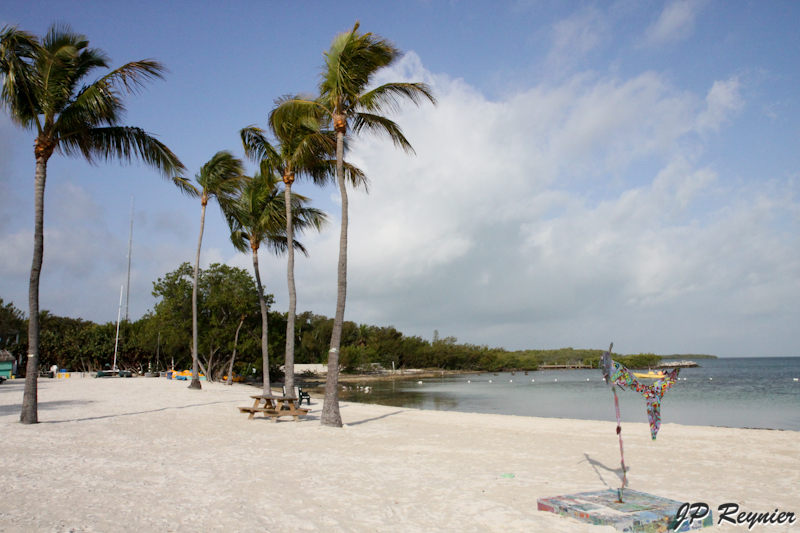 IMG_8051_LR.jpg