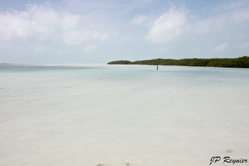 IMG_8073_LR.jpg