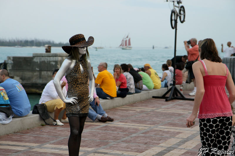 IMG_8184_LR.jpg