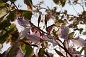 IMG_8046_LR