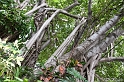 IMG_8125_LR