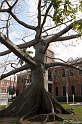 IMG_8128_LR