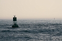 IMG_8163_LR