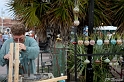 IMG_8176_LR