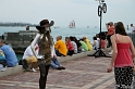 IMG_8184_LR