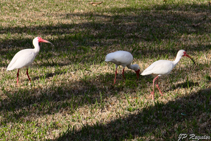 IMG_7528_LR.jpg