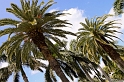 IMG_7570_LR
