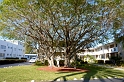 P1010306_LR