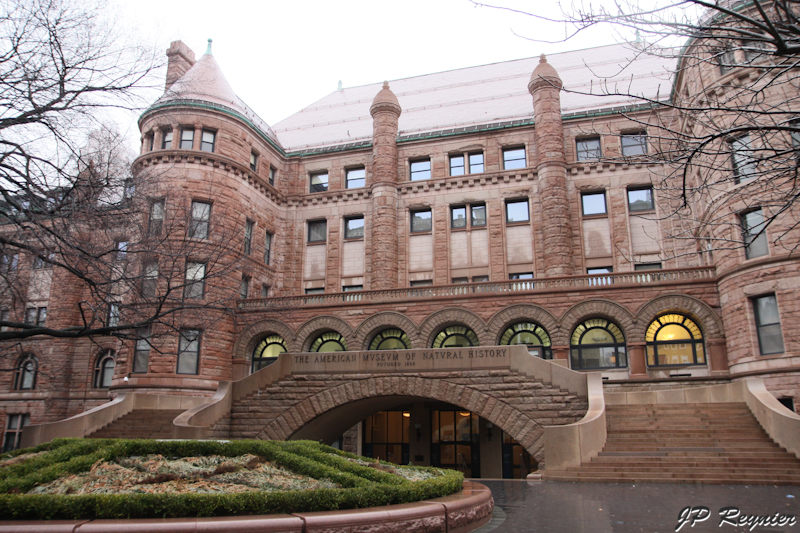 100313_NYC_0019_LR.jpg