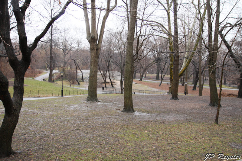 100313_NYC_0024_LR.jpg