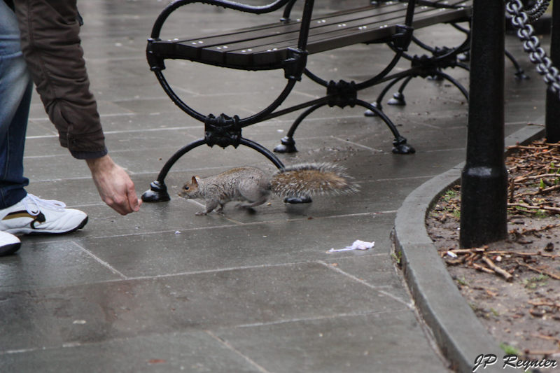 100314_NYC_0451_LR.jpg