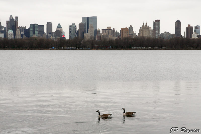 100315_NYC_0758_LR.jpg