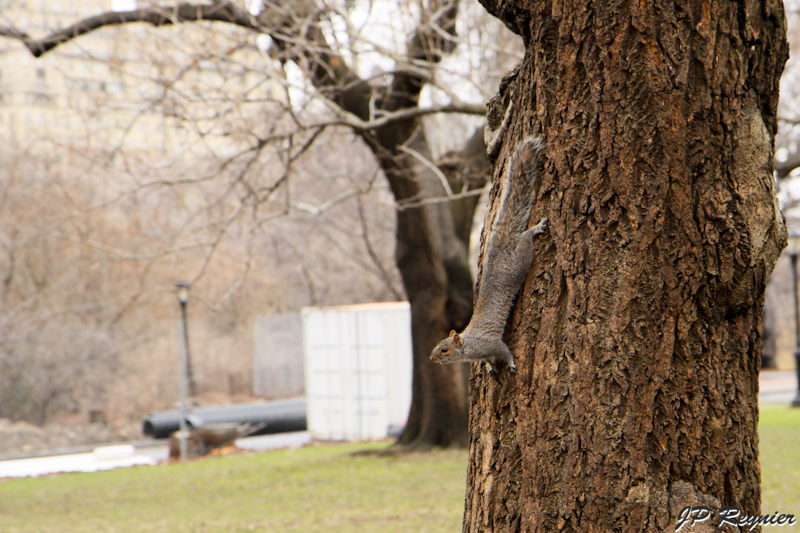 100315_NYC_0803_LR.jpg