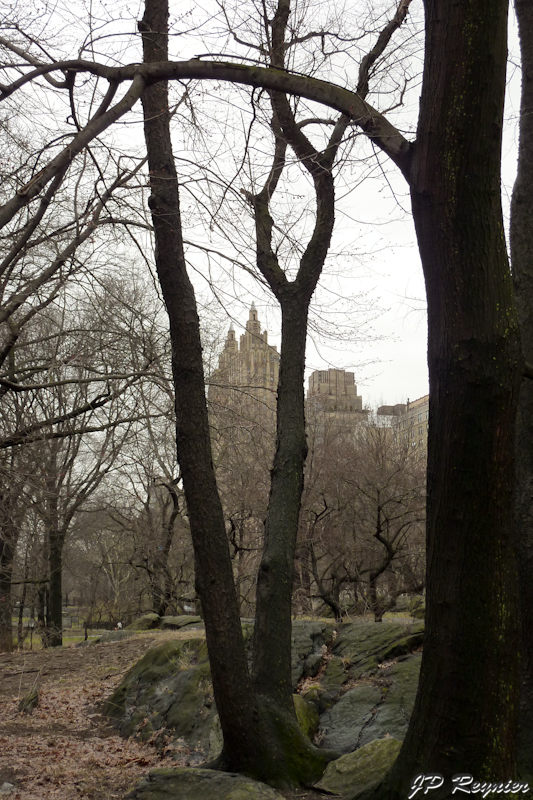 P1000660_LR.jpg