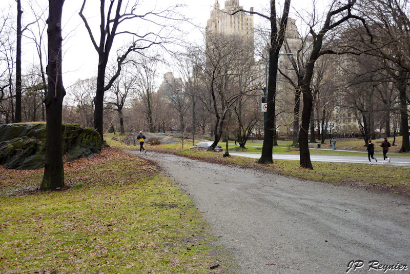 P1000662_LR.jpg
