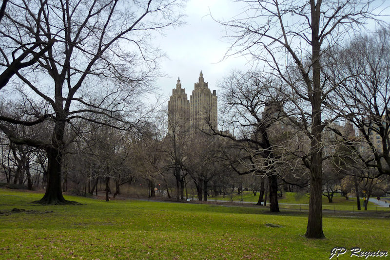P1000665_LR.jpg