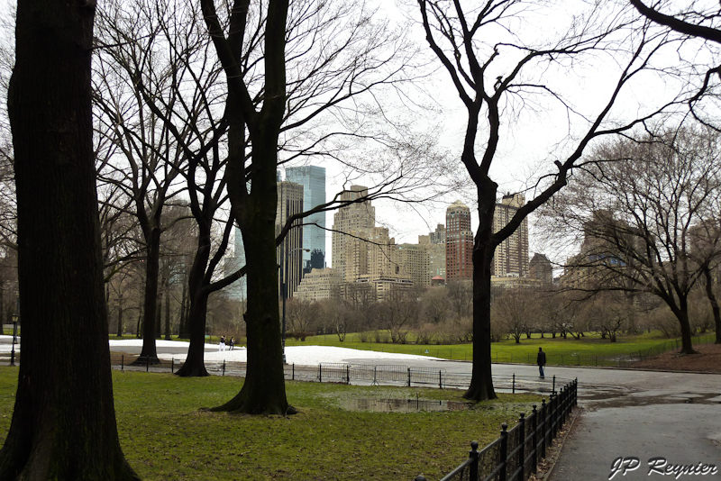 P1000691_LR.jpg