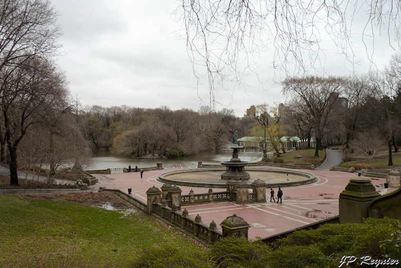P1000704_LR.jpg