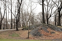 100315_NYC_0724_LR