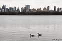 100315_NYC_0758_LR