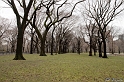 100315_NYC_0791_LR