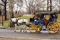 100315_NYC_0798_LR
