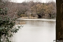 100315_NYC_0958_LR