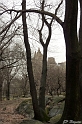 P1000660_LR