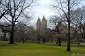 P1000665_LR