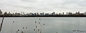 P1000670_LR